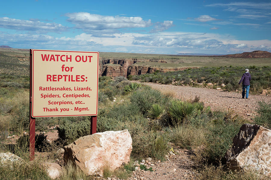 Reptile Warning Sign Photograph by Jim West