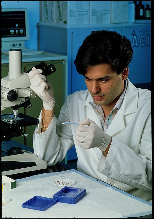 Researcher Preparing A Genetic Probe Photograph by Matt Meadows/science Photo Library