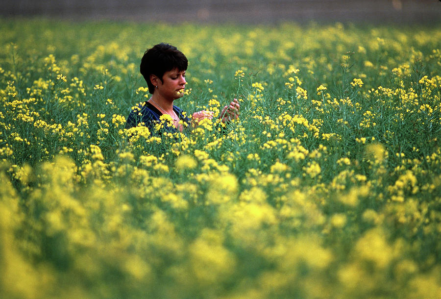 Researcher Studies Genetically Modified Rape Field Photograph by Chris Knapton/science Photo Library