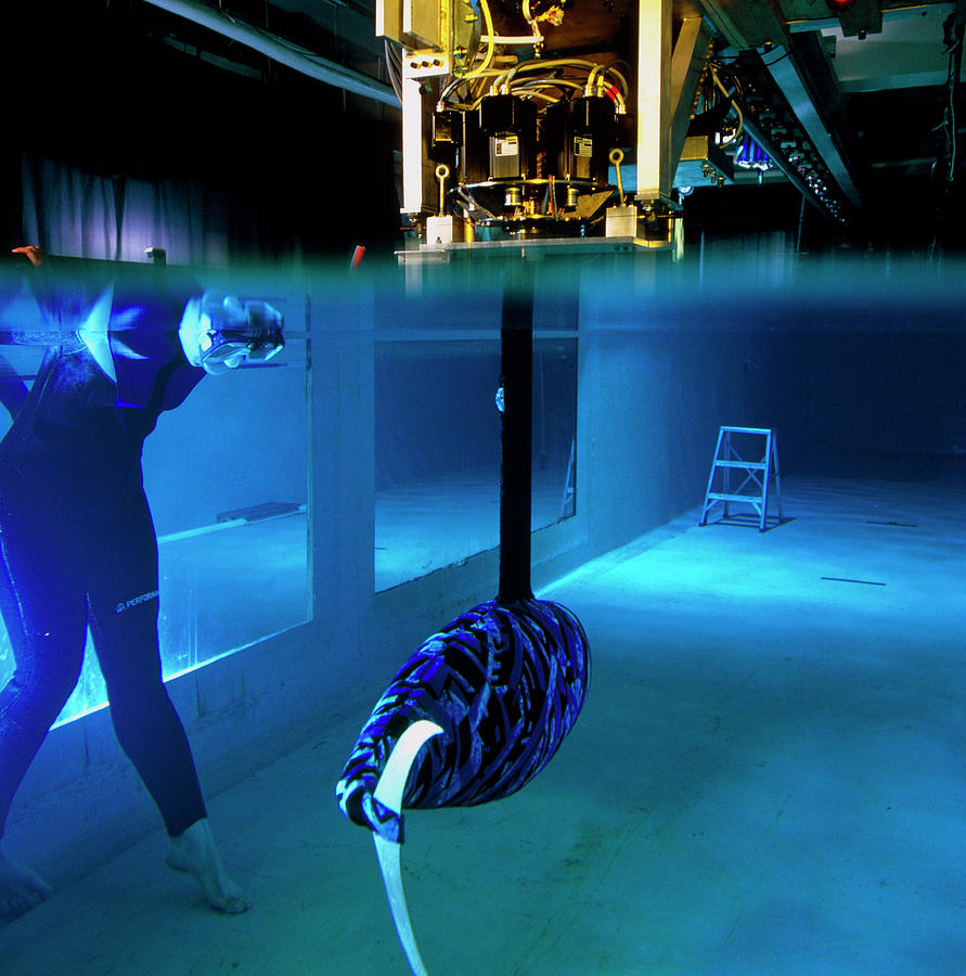 Researcher With A Robotic Fish Photograph by Sam Ogden/science Photo Library