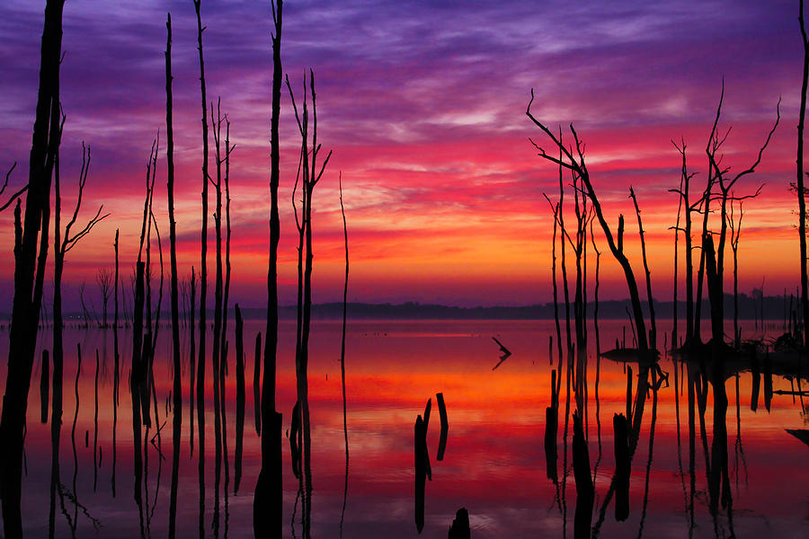 Reservoir at Sunrise Photograph by Roger Becker