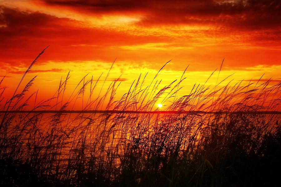 Reservoir Sunset 3 Photograph by Jim Albritton