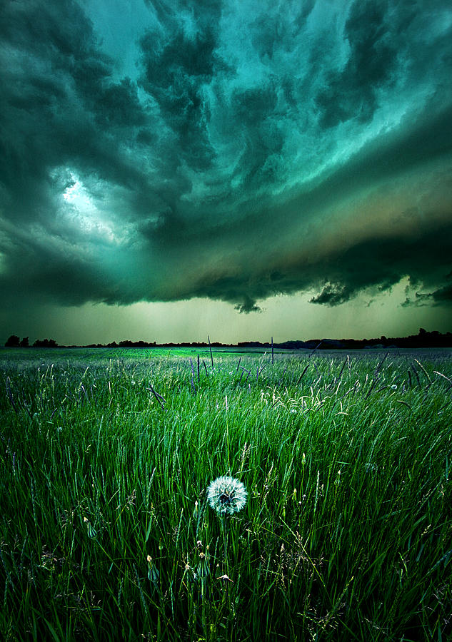 Landscape Photograph - Resolute by Phil Koch