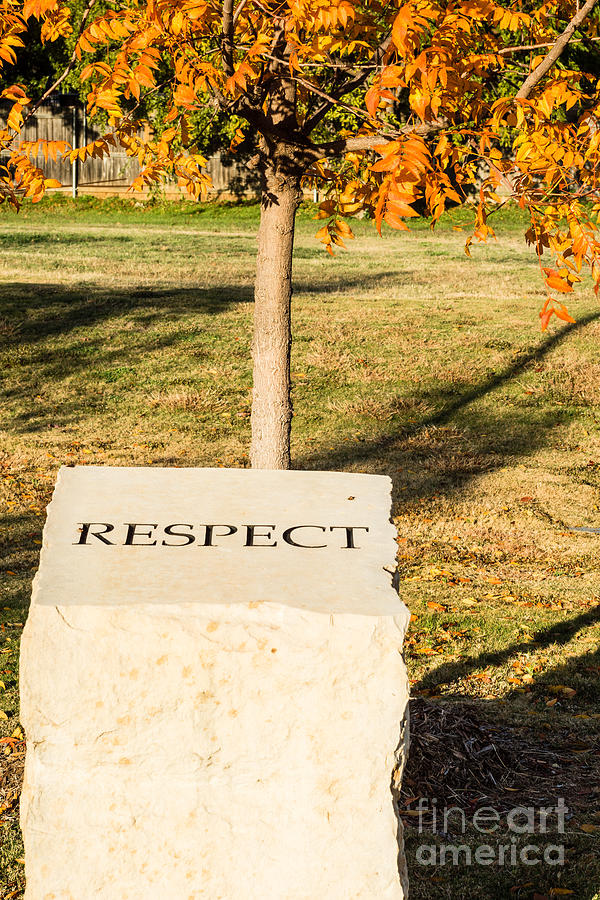 Respect on stone in Autumn Photograph by Imagery by Charly