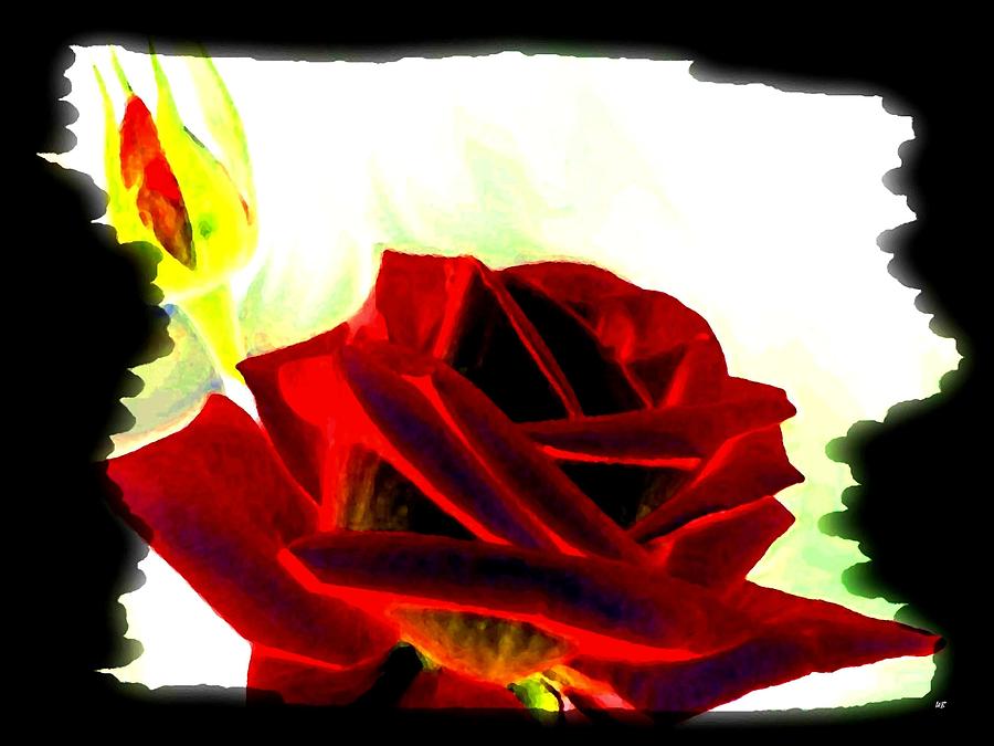 Resplendent Red Rose Digital Art