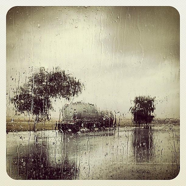 Newmexico Photograph - Rest Stop In The #rain #nm #newmexico by Greta Olivas