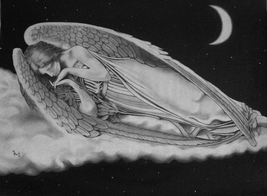 Resting Angel Drawing by Mark Shynk