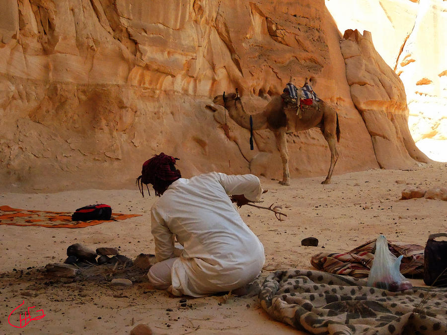 Resting in the Desert after long walks Photograph by Colette V Hera Guggenheim