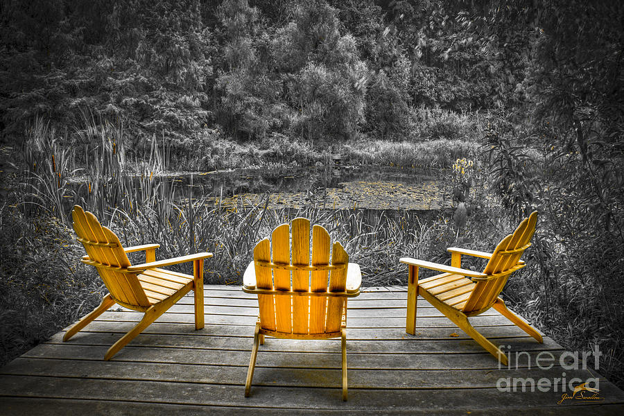 Tree Photograph - Adirondeck Chairs in the Forest of a Botanical Garden in  Virginia by Jim Swallow