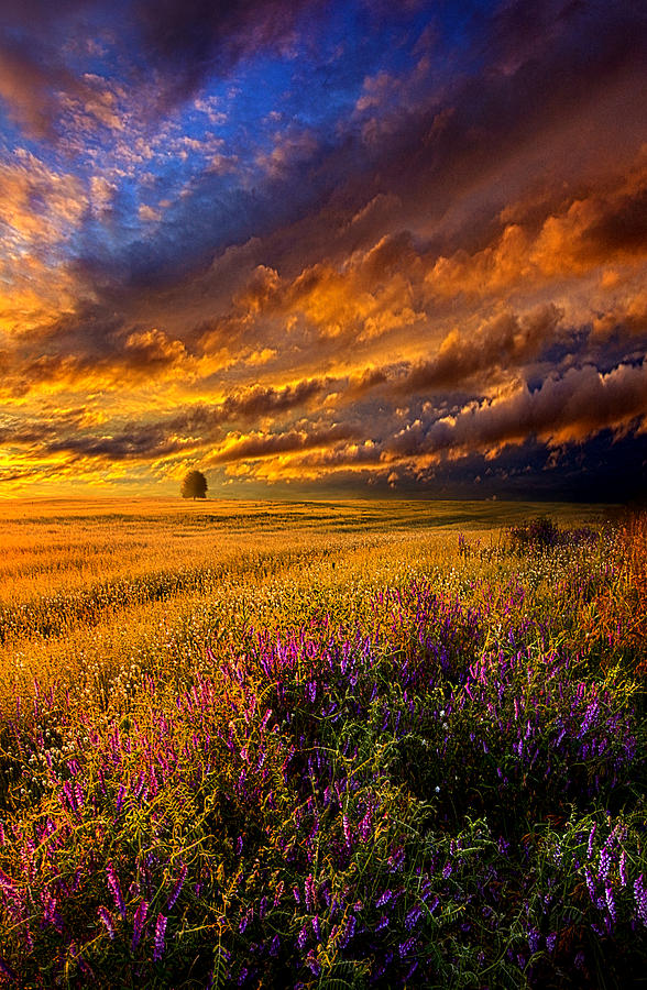 Resting In Your Smile Photograph by Phil Koch