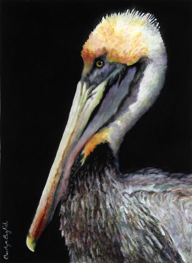 Pelican Painting - Resting Pelican by Carolyn English