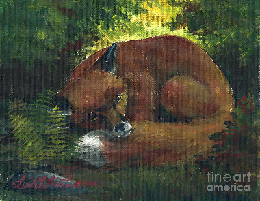 Resting Red Fox Painting by Linda L Martin
