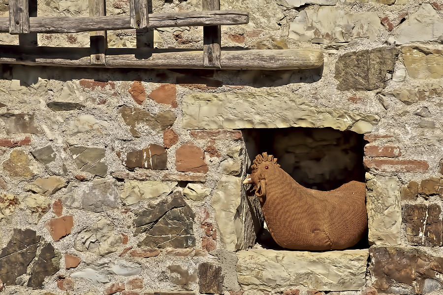 Resting Rooster on a Farm Wall Photograph by David Letts