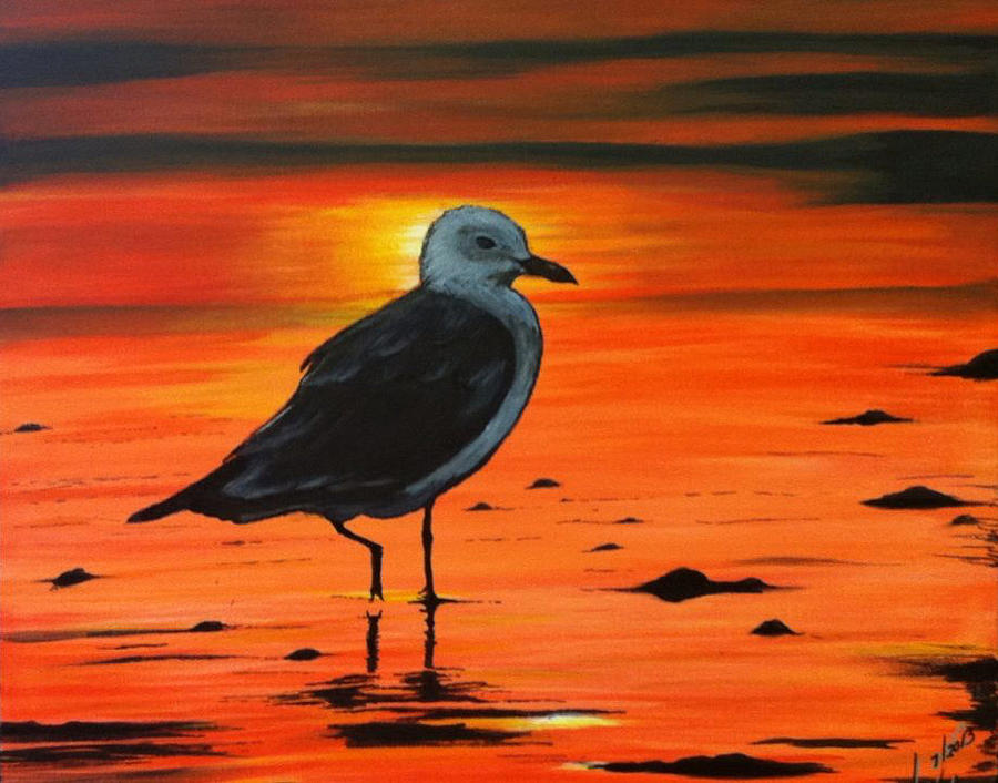 Resting Seagull Painting by Barbara Andrews