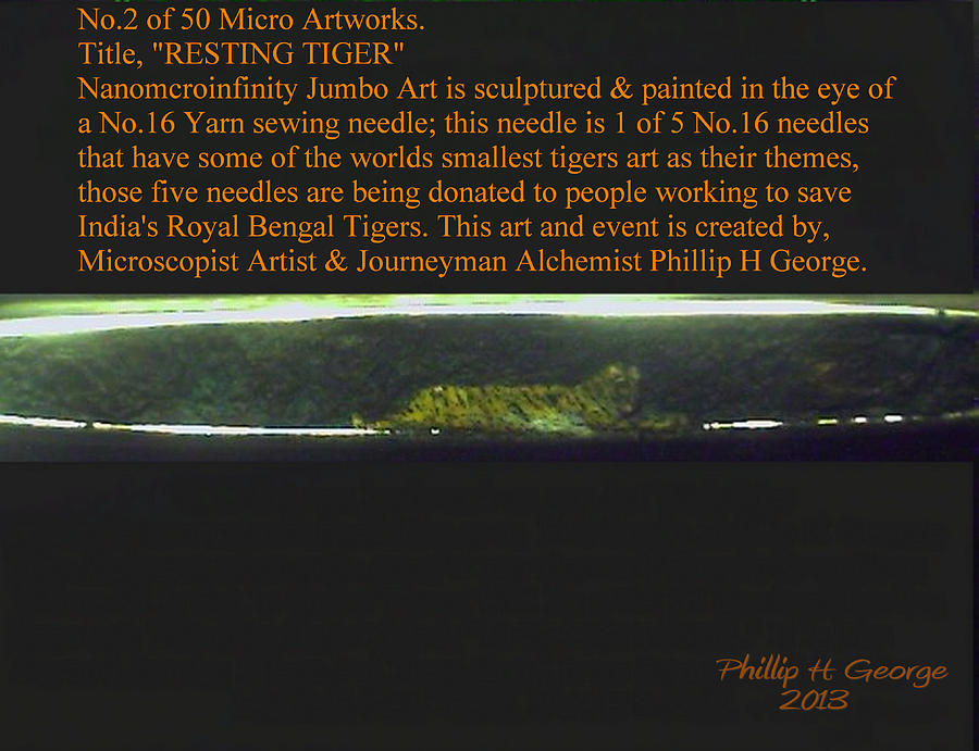 Tiger Painting - Resting Tiger  by Phillip H George