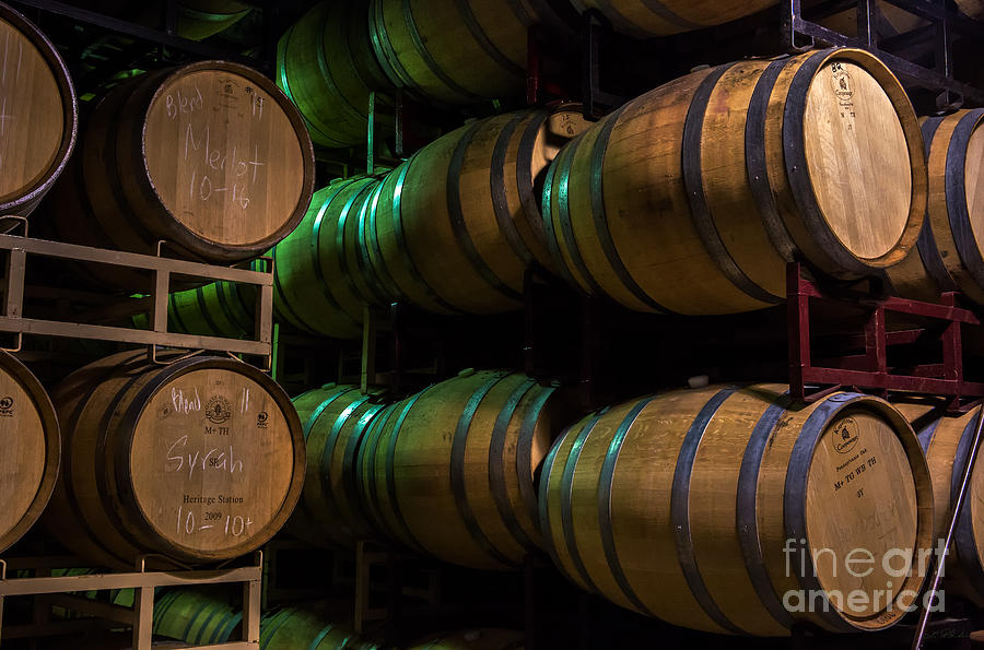 Wine Photograph - Resting Wine Barrels by Iris Richardson