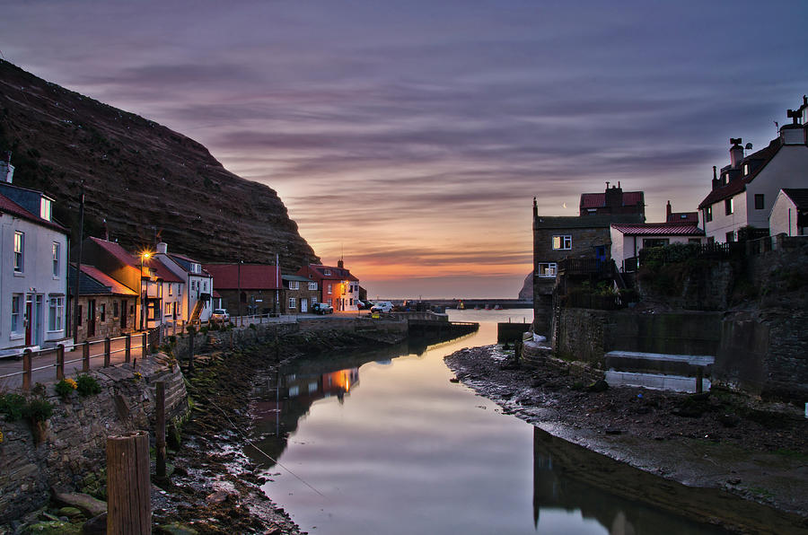 Restless Seagulls At Staithes Photograph by Paul Downing