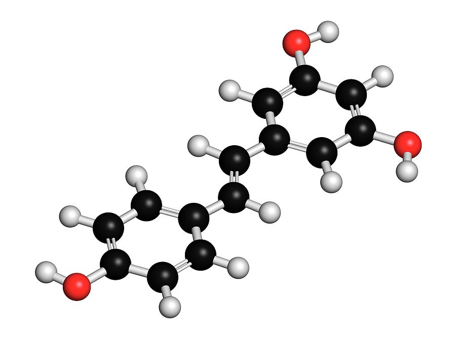 Wine Photograph - Resveratrol Molecule by Molekuul