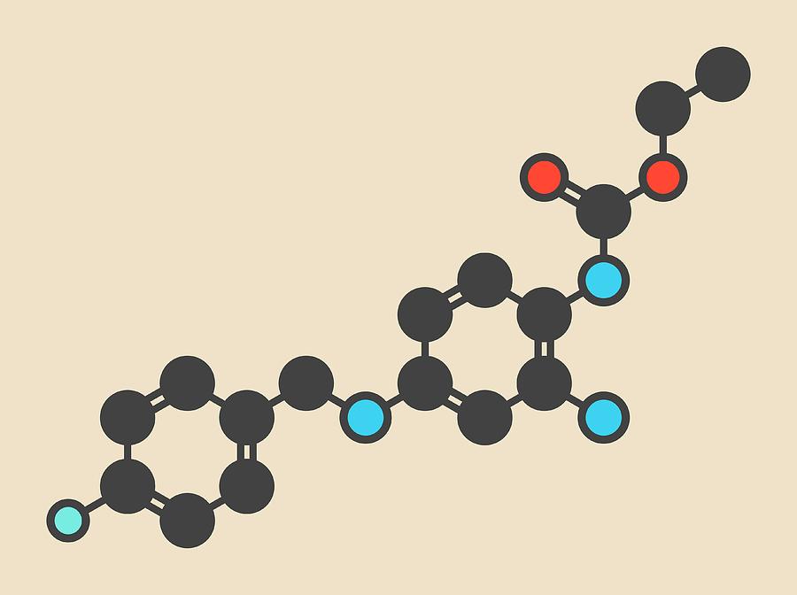 Anticonvulsant Photograph - Retigabine Anticonvulsant Drug Molecule by Molekuul