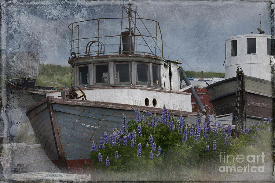 Retired Boat Photograph by David Arment