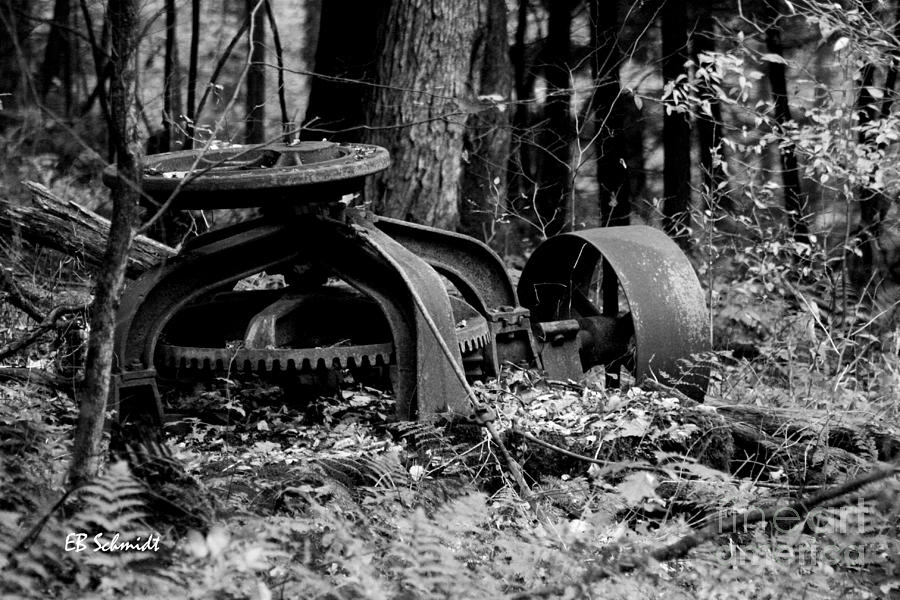Retired Machines 15 - Lost in the Woods Photograph by E B Schmidt