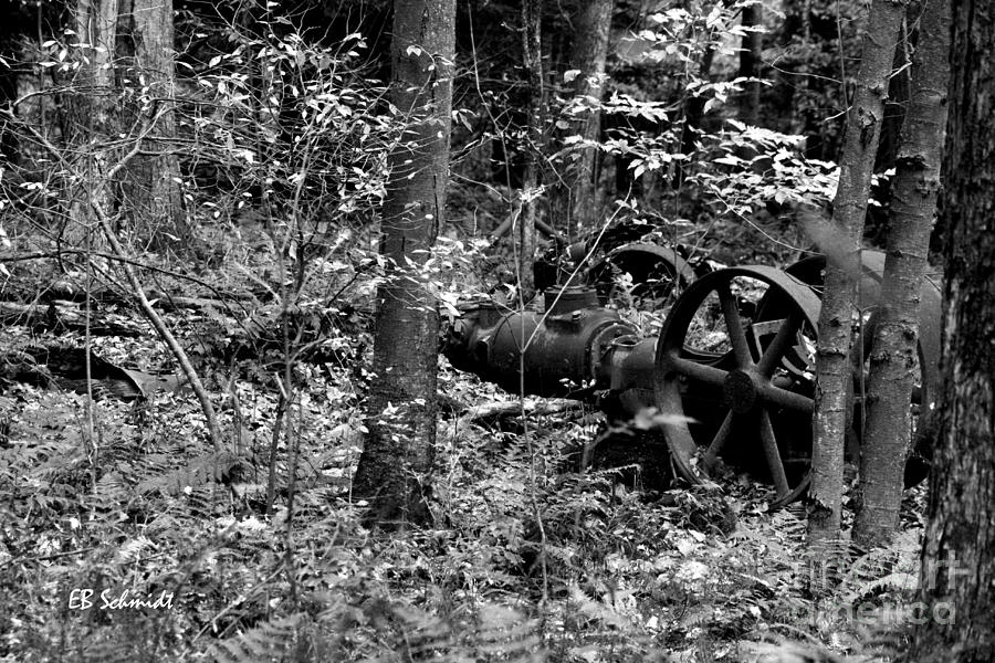 Retired Machines 16 - Lost in the Woods Photograph by E B Schmidt