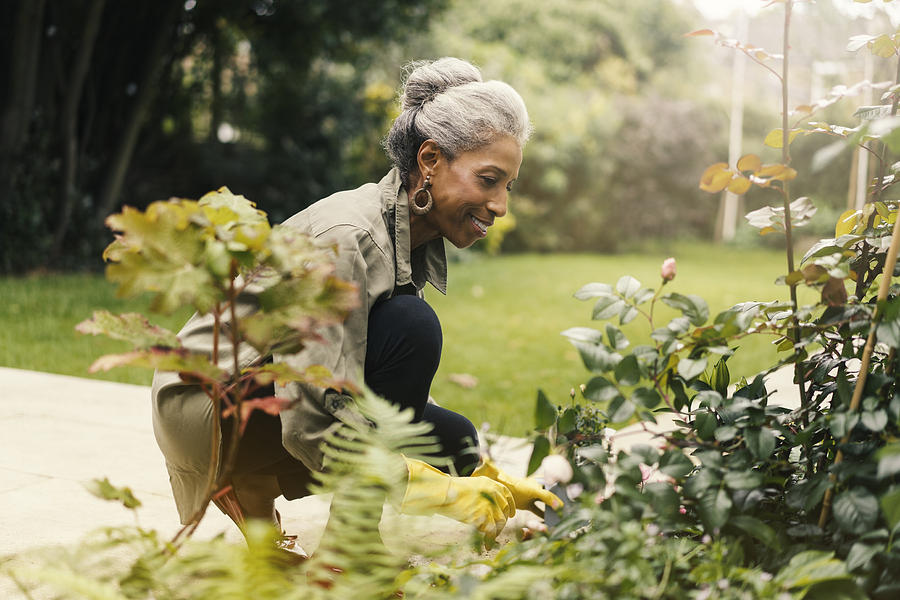 Retired senior woman gardening in back yard Photograph by Stígur Már Karlsson /Heimsmyndir