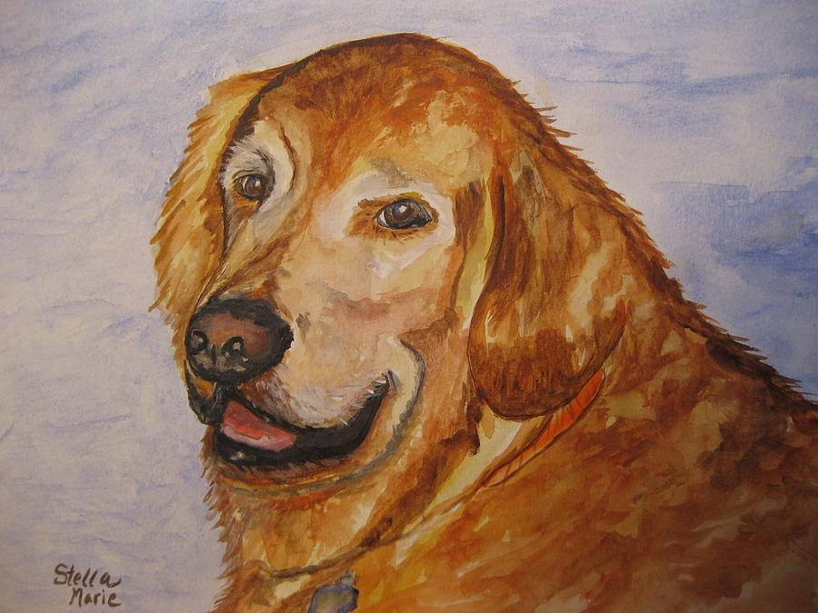 Watercolor Dog Painting - Retriever in His Golden Years by Stella Sherman