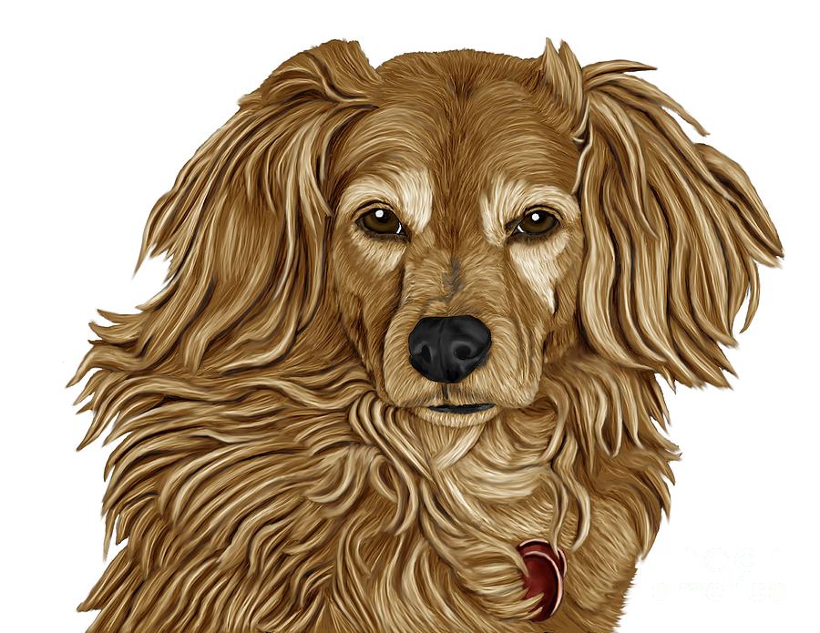 Dog Painting - Retriever Mix by Karen Sheltrown