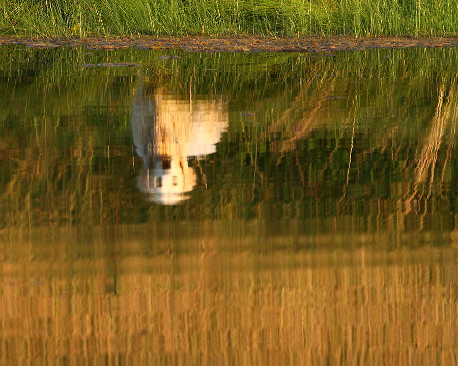 Retriever Reflection Photograph by Coby Cooper