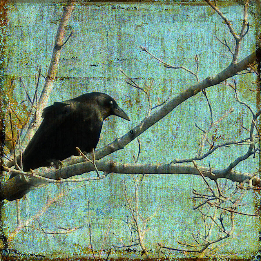 Retro blue - Crow Digital Art by Gothicrow Images - Fine Art America