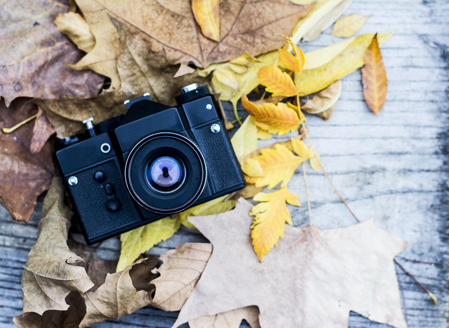 Retro camera on autumn leaves Photograph by Newnow Photography By Vera ...