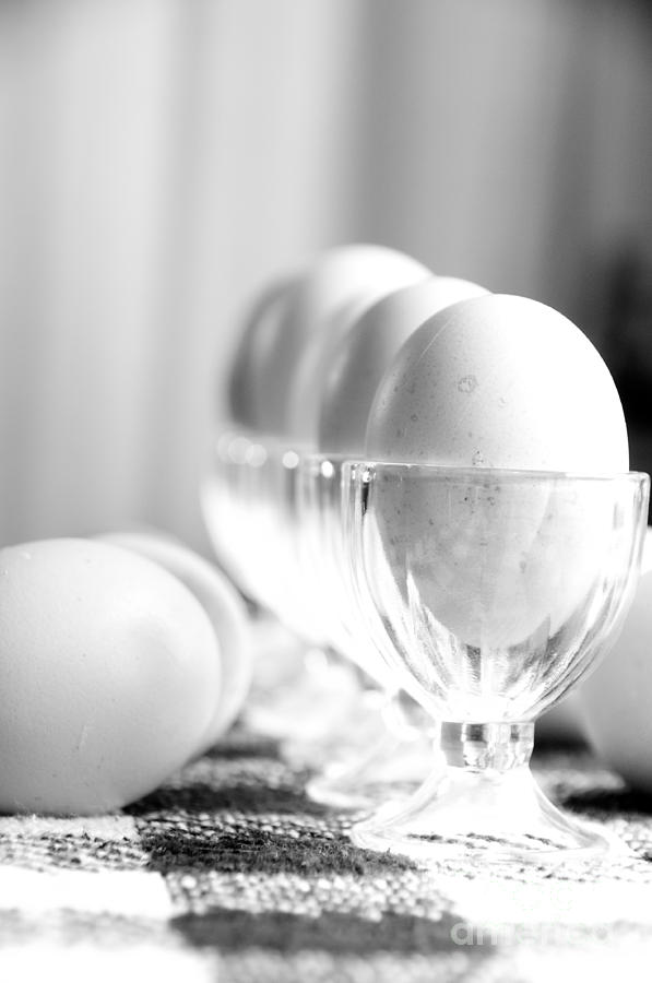 Retro Eggs Photograph by Cheryl Baxter