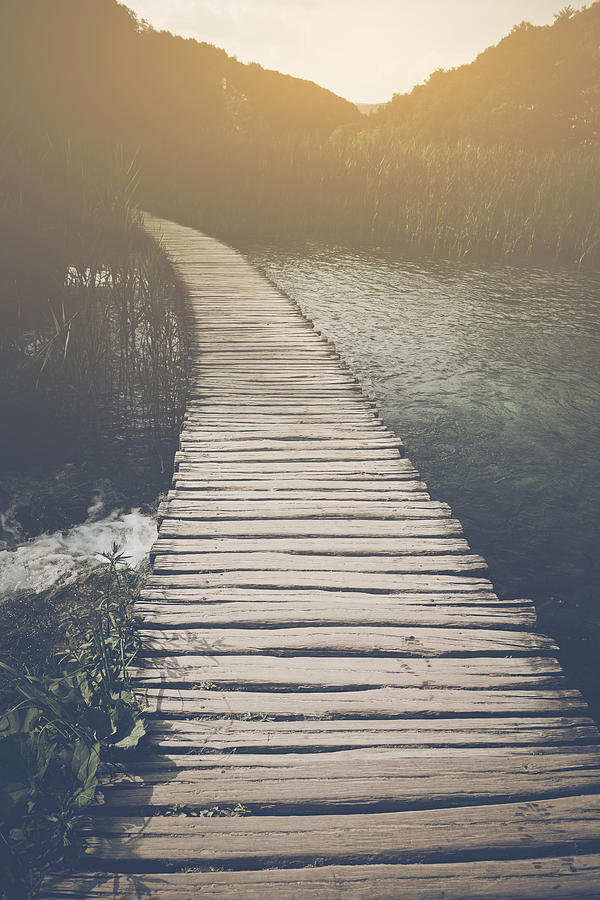 Nature Photograph - Retro Hiking Path with Sunlight with Instagram Style Vintage Fil by Brandon Bourdages