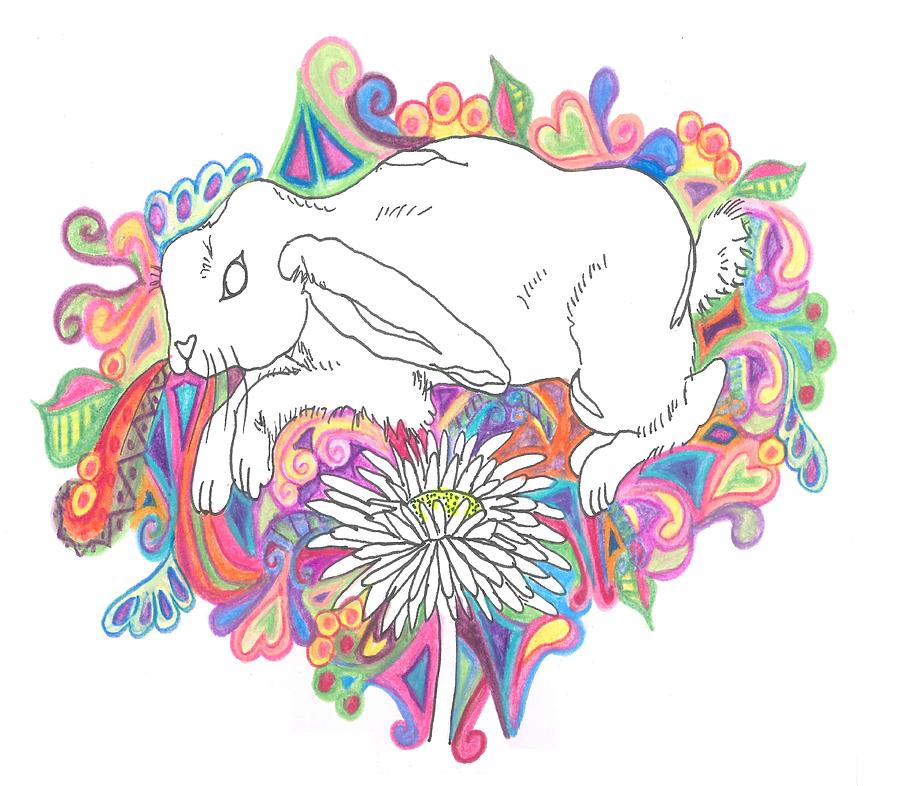 Retro Rabbit Drawing by Cherie Sexsmith - Fine Art America