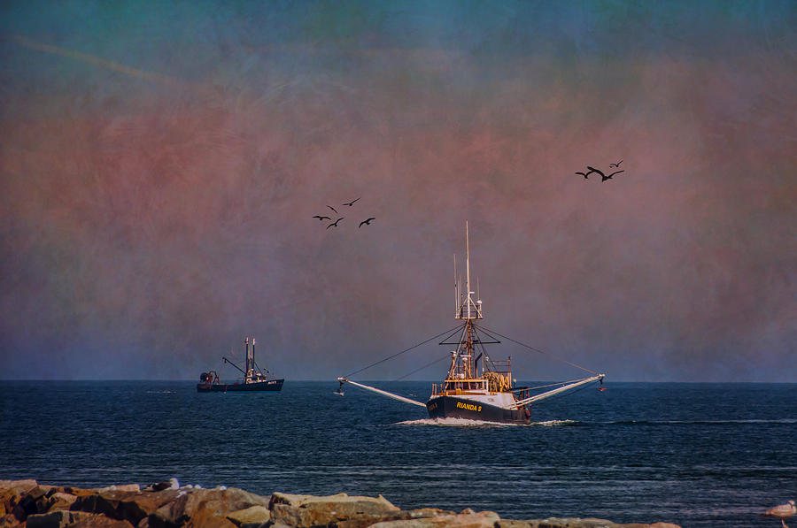 Return From The Sea Photograph by Cathy Kovarik