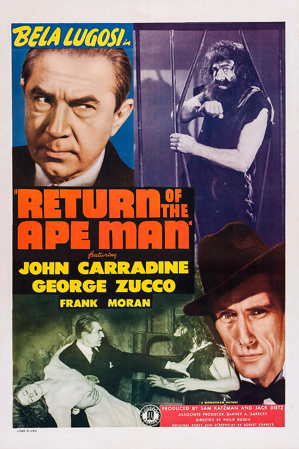 Return Of The Ape Man, Us Poster, Bela Photograph by Everett