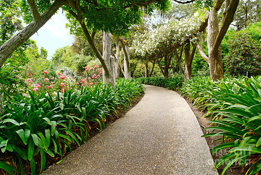 Flower Photograph - Return to Eden - Beautiful walkway towards a lush garden with blooming flowers. by Jamie Pham