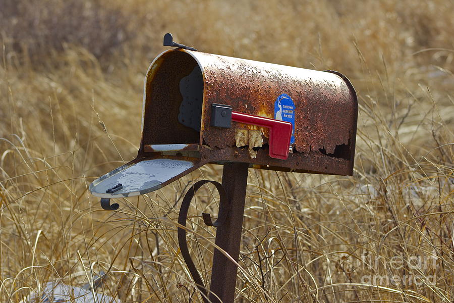 Return to Sender Photograph by Alice Mainville