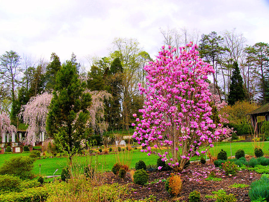 are dogs allowed at reynolda gardens