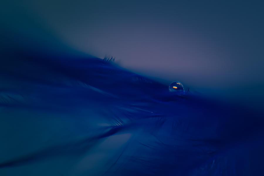 Abstract Photograph - Rhapsody in Blue by Lauri Novak