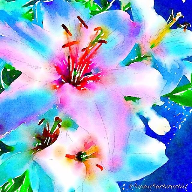 Flower Photograph - Rhapsody In Blue by Anna Porter