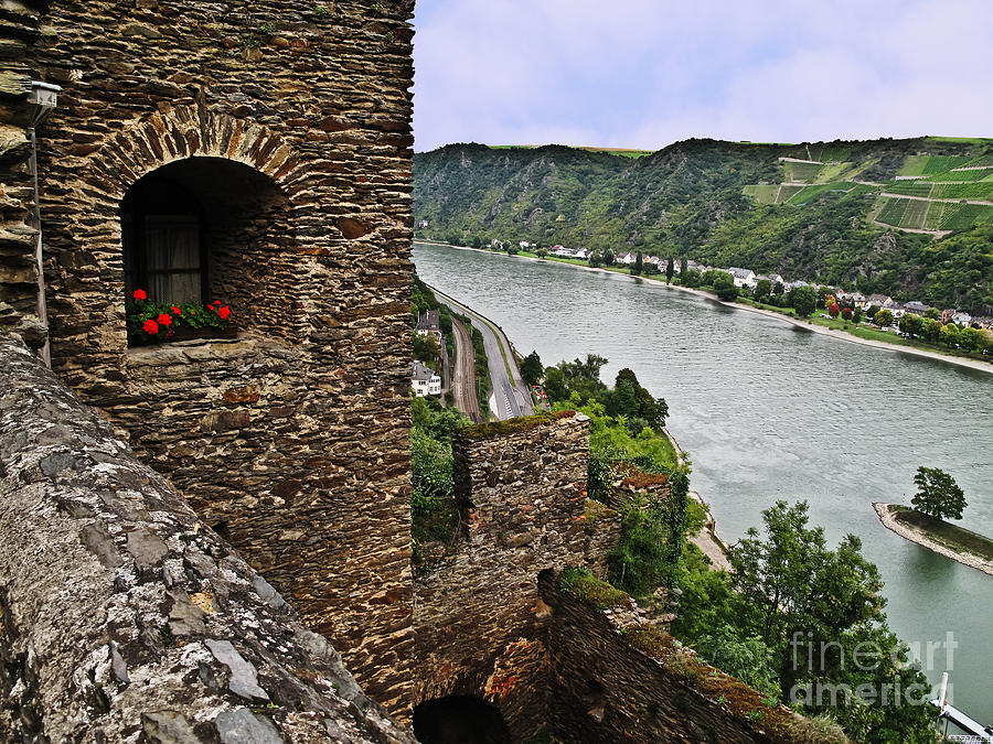 Rhine from Rhinefels Photograph by Elvis Vaughn