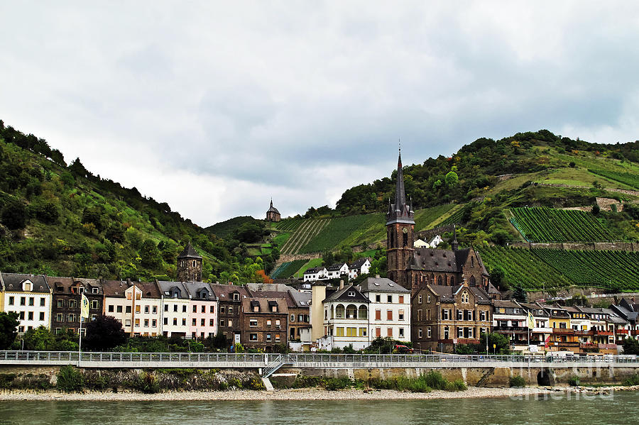 Nature Photograph - Rhine River View by Elvis Vaughn
