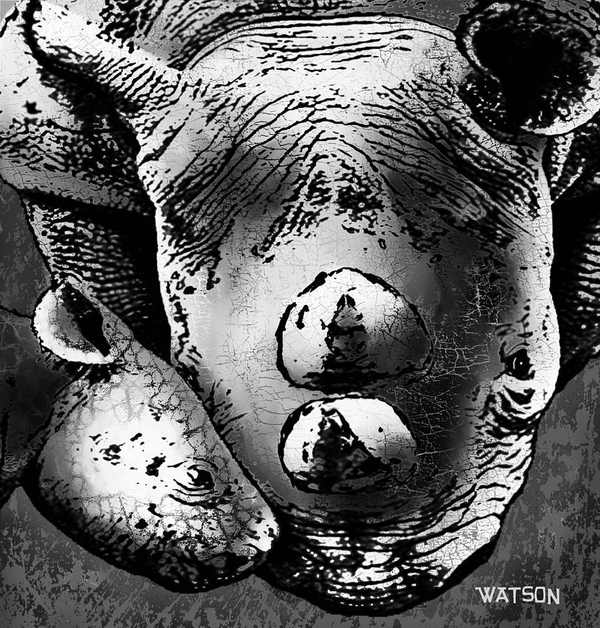 Rhino and baby Digital Art by Marlene Watson