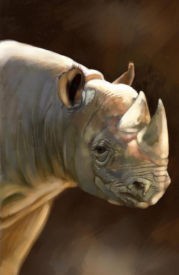 Rhino Digital Art by Arie Van der Wijst