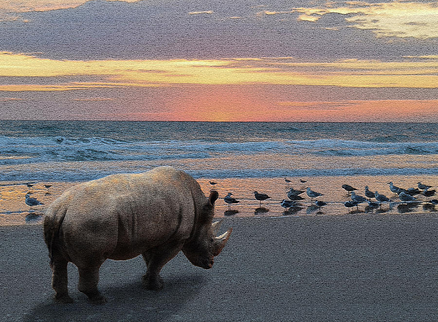 Rhino Beach Photograph by Jerry Hart