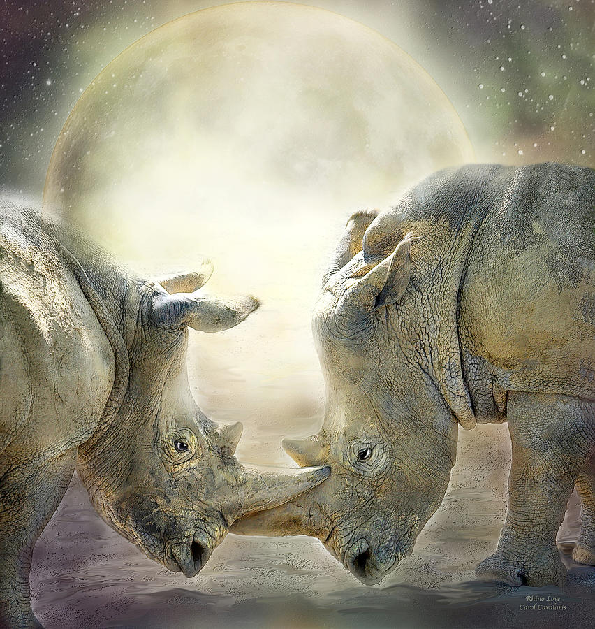Rhino Love Mixed Media by Carol Cavalaris