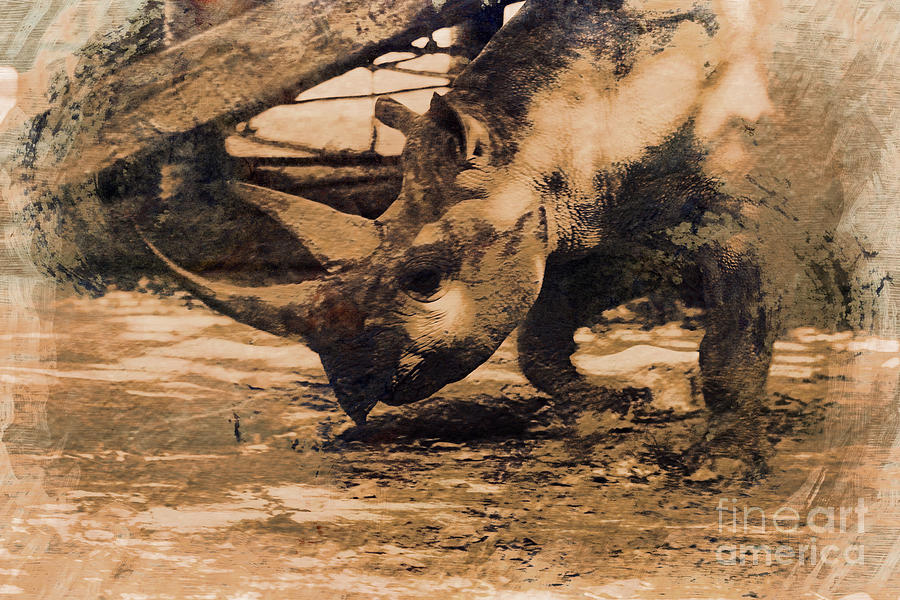 Rhino-Modern Photograph by Douglas Barnard