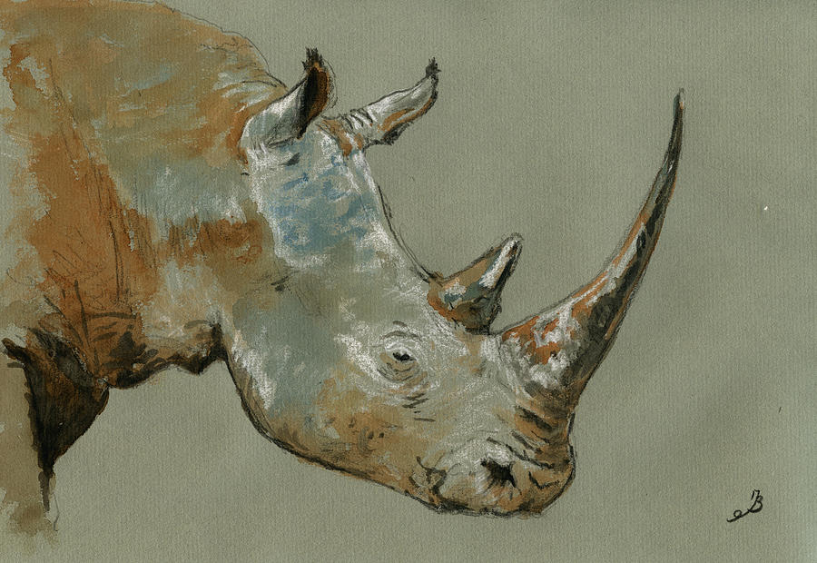 Wildlife Painting - Rhino study by Juan  Bosco